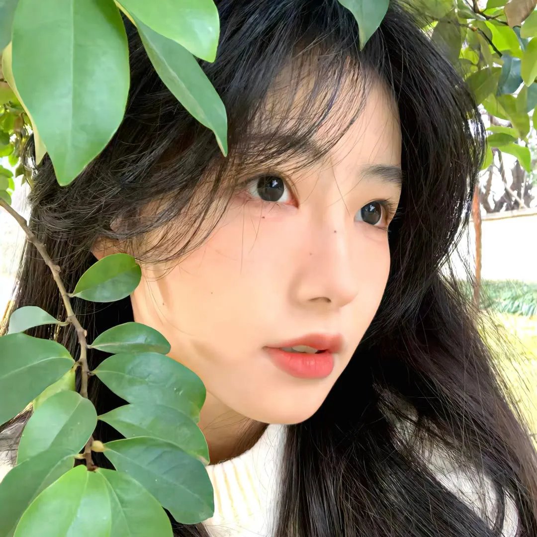 感染列岛